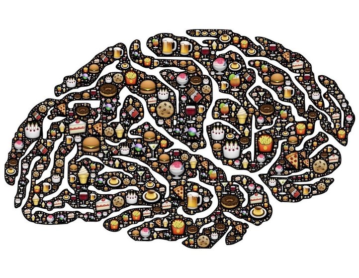 cerebro_comida