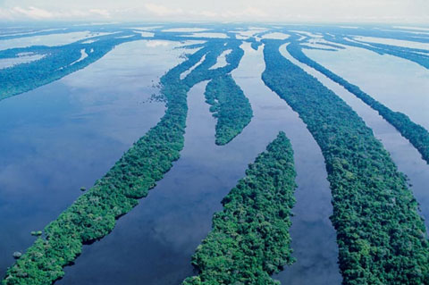 El Rio Amazonas Un Futuro Incierto